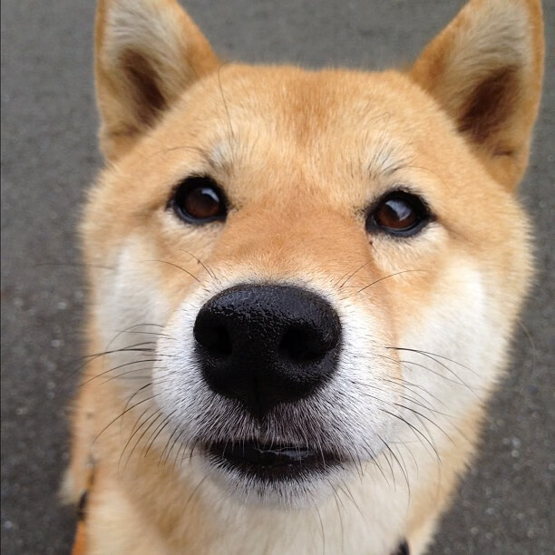 九游娱乐官方-互动直播新玩法:弹幕、投票、奖励丰富观众体验,直播弹幕抽奖技巧